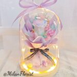 624176010_1506346558165218_3726831083319800957_n