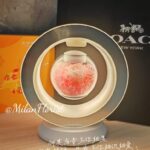 WhatsApp Image 2024-01-29 at 7.46.52 PM